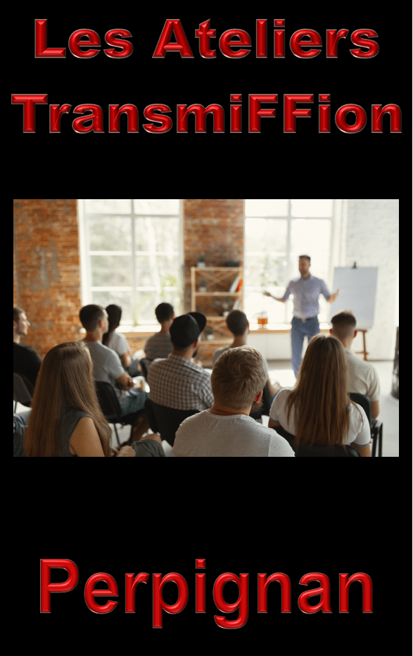 Atelier TransmiFFion de La Fistinière au sauna Le Déstressium à Perpignan avec un groupe en formation